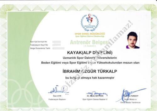 Alpine Ski Coach Certification Alp Disiplini Kayak Sertifikasi 