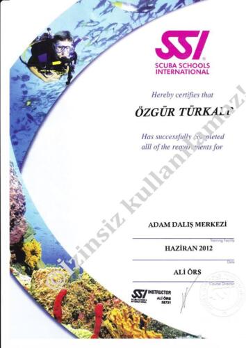 Open Diver CertificationAletli Dalis Sertifikasi
